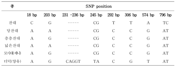 사삼 및 위품의 trnL-F 구간 염기서열의 변이(variable site)