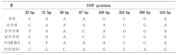 사삼 및 위품의 rpoC1 구간 염기서열의 변이(variable site)