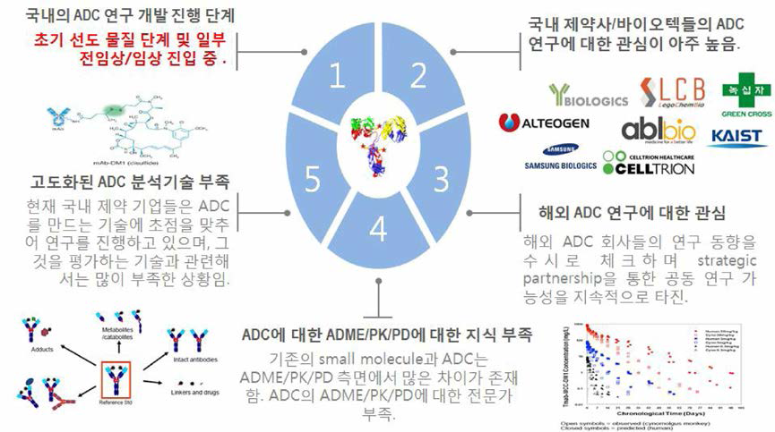 국내 ADC 연구 개발의 진행 방향