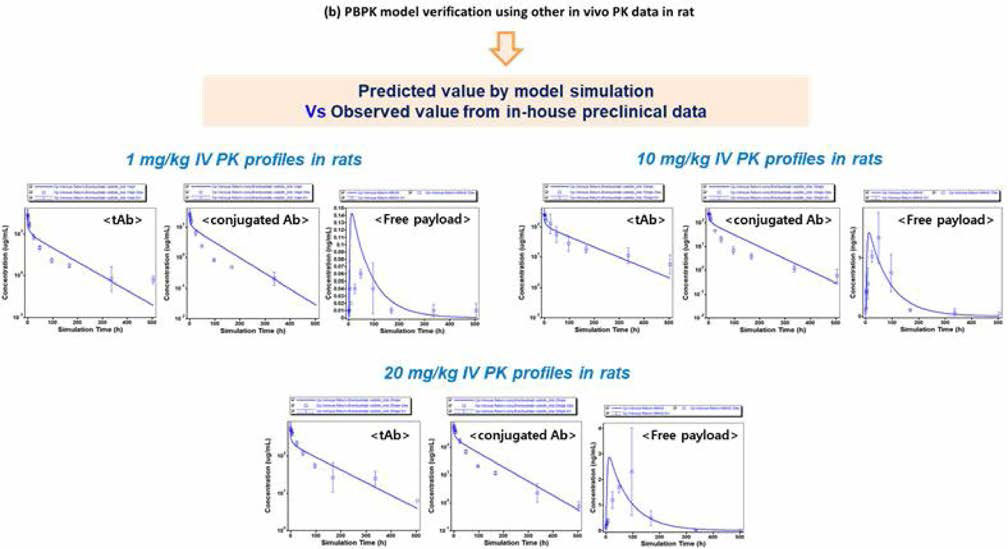 확립된 PBPK 모델을 이용하여 다른 투여 용량에 대한 ADC 각 분석물질의 약물 동태 예측