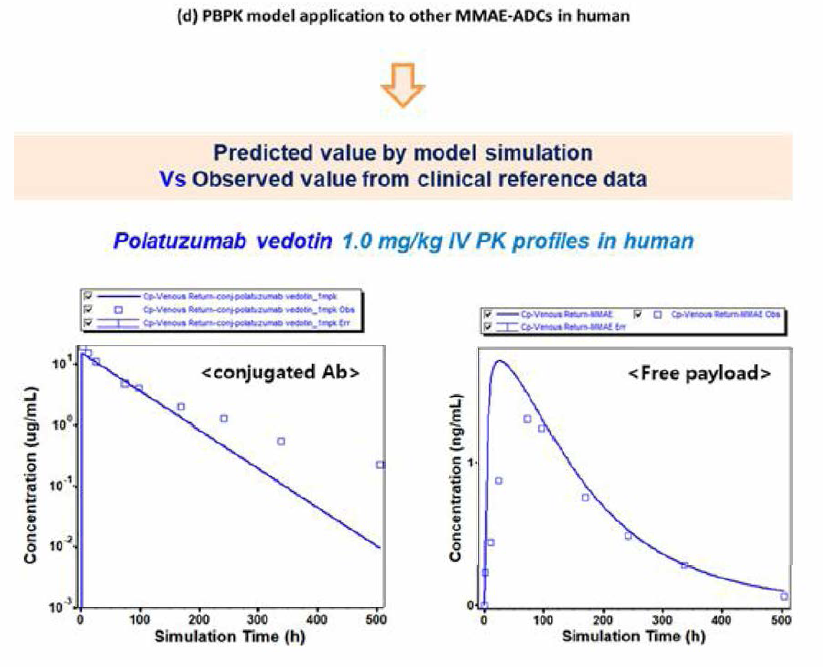 동일 링커-약물 플랫폼을 적용한 polatuzumab vedotin에 대한 임상 약물동태 예측 및 비교