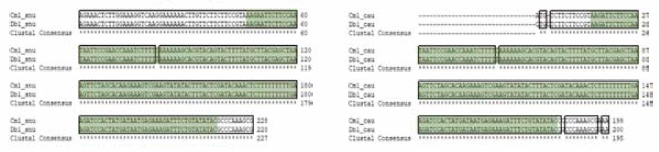 CmDb SNP 01 multiple sequence alignment (a) 서울대，(b) 중앙대