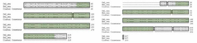 CmDb SNP 02 multiple sequence alignment (a) 서울대，(b) 중앙대