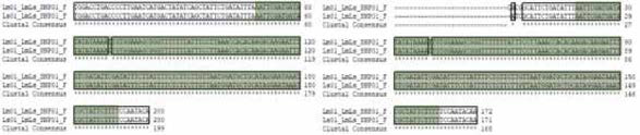 LmLs SNP 01 multiple sequence alignment (a) 서울대，(b) 중앙대