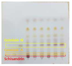 오미자시료(오미자_1 ~ 오미자_5)의 TLC
