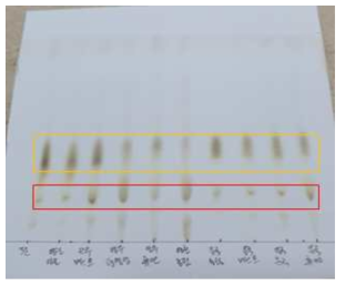 길경시료(길경_1 ~ 길경_9)의 TLC
