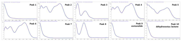 선정 Peak의 UV 스펙트럼