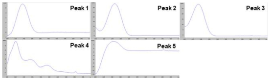 선정 Peak의 UV 스펙트럼