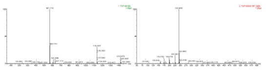 상백피 피크 2의 MS 및 MS/MS 스펙트럼