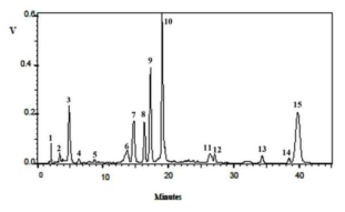 감국에서 추출한 flavonoid의 HPLC profile