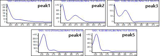 선정 Peak의 UV 스펙트럼