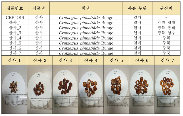 산사 시료 확보 현황