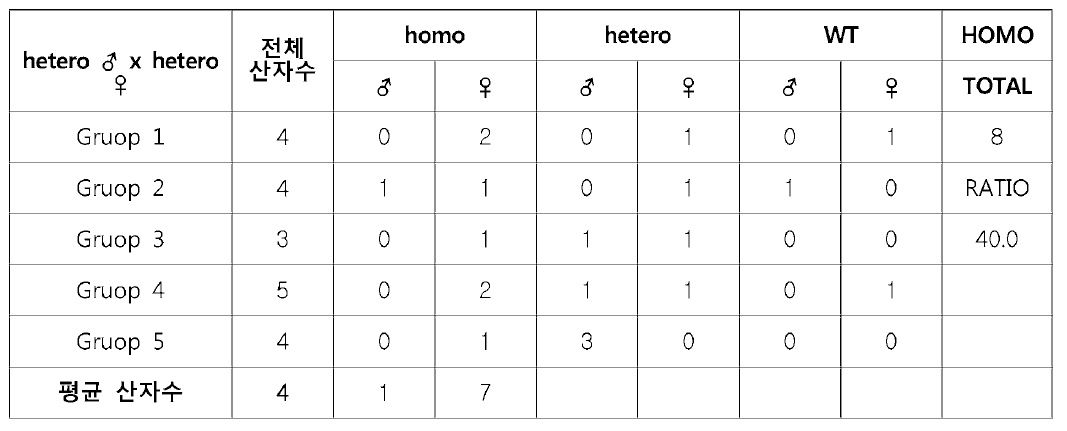 Lepob/Korl heterozygous 마우스 간 교배 시 산자수