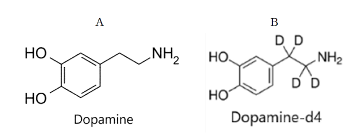 시냅토좀 도파민 시험 분석대상 화학구조 (A) 도파민, (B) 도파민-d4(내부표준물질)