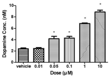 양성대조군 Methamphetamine 처리시 도파민 농도