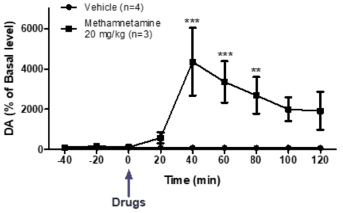 Methamnetamine 20 mg/kg 도파민 농도 변화 (Methamnetamine 20 mg/kg, ***P<0.001, **P<0.01, compared with the vehicle (two-way ANOVA, followed by the Bonferroni post hoc test))