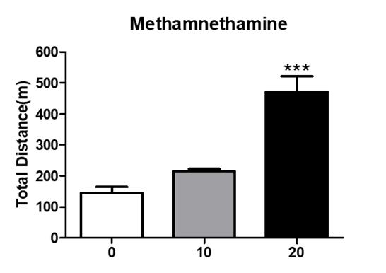 Methamnetamine 일반 운동활성 결과