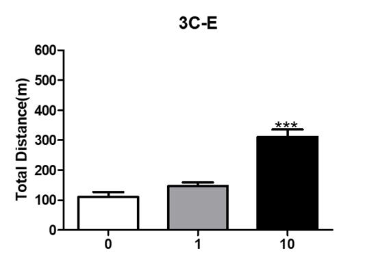 3C-E 일반 운동활성 결과