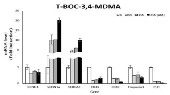 t-BOC-3,4-MDMA에 의한 H9c2 cell sample의 gene expression 변화