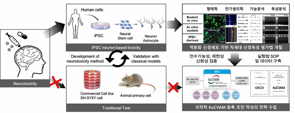 역분화 신경세포 기반 차세대 신경독성 평가법 개발 연구 개념도