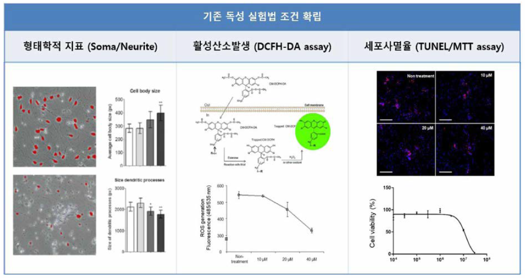 다양한 신경독성 분석법 구축 및 비교