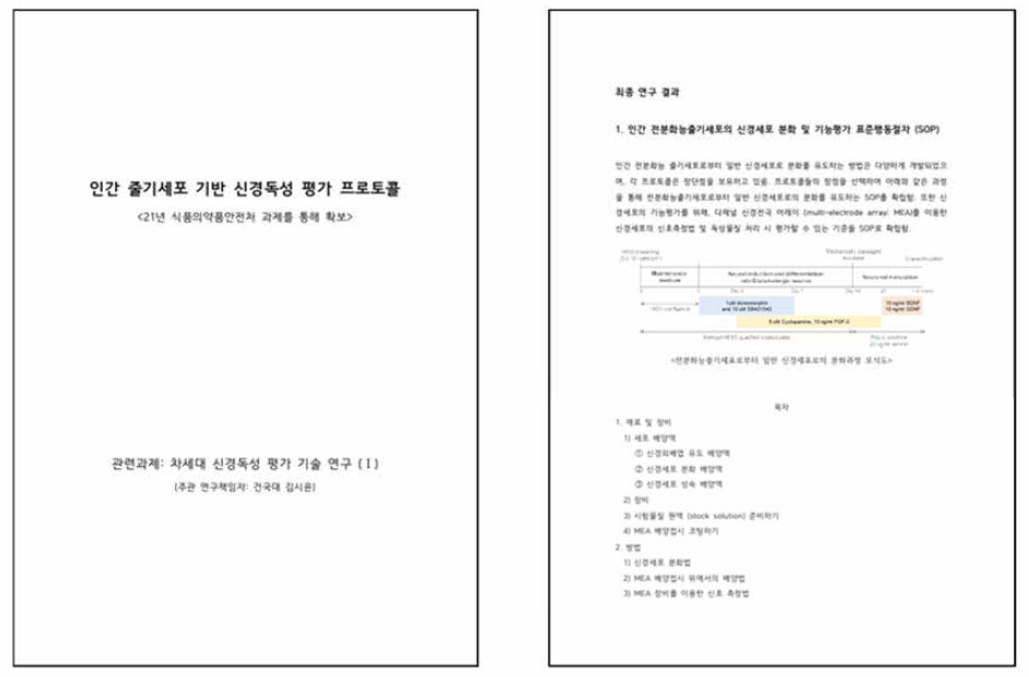 인간 줄기세포 기반 신경독성 평가 프로토콜 제작