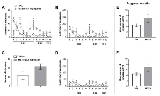 Methamphetamine의 자가투여시험 Methamphetamine (0.1 mg/kg/infusion) was self-administered by ICR mice (n = 6-10/group). (A) Active lever response (B) number of infusion in FR schedule (C) mean number of infusion in PR schedule (D) mean break time in PR schedule. METH, methamphetamine; KO, knockout mice; WT, wild type mice