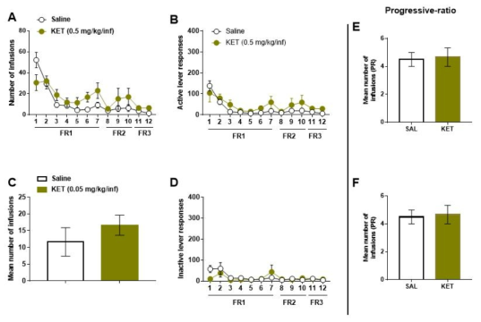 Ketamine의 자가투여시험 Ketamine (0.5 mg/kg/infusion) was self-administered by ICR mice (n = 6-10/group). (A) Active lever response (B) number of infusion in FR schedule (C) mean number of infusion in PR schedule (D) mean break time in PR schedule. KET, ketamine; FR, fixed ratio; PR, progressive ratio