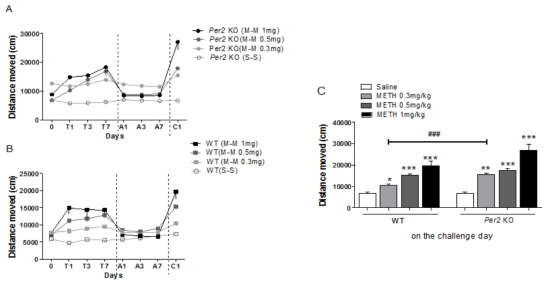 Methamphetamine의 행동민감화시험 (A) Locomotor activity of Per2 animals for 7 days of methamphetamine (0.3, 0.5  A, absence day; C, challenge day; METH, methamphetamine; KO, knockout mice; WT, wild type mice