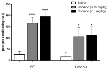 코카인의 조건장소선호도시험 Cocaine (3.75  WT, wild type mice