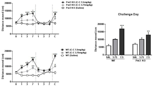 Per2 KO 생쥐에서 코카인의 행동민감화시험 . (A) Locomotor activity of animals for 7 days of cocaine (3.75  A, absence day; C, challenge day