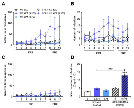 GPX-1 KO 생쥐에서 Camfetamine 자가투여시험 Mice were subjected to a 10-day SA test, 2 h/day, under the FR1 schedule for the first 7 days and FR2 for the next 3 days, with 0.75 mg/kg/infMPA. (A) Active lever responses, (B) number of infusions, (C) inactive lever responses, (D) mean number of infusions during the 4thto 10thsession of SA. n = 6 – 18. Values are mean ± S.E.M. ***p < 0.001 (vs SAL) and ###p < 0.001 (vs WT)