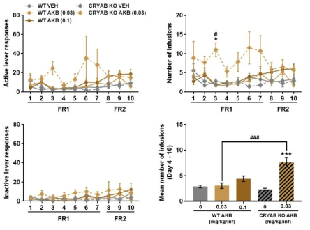 Cryab KO 생쥐에서 AKB-48 자가투여시험 Mice were subjected to a 10-day SA test, 2 h/day, under the FR1 schedule for the first 7 days and FR2 for the next 3 days, with 0.03 and 0.1 mg/kg/infAKB48. (A) Active lever responses, (B) number of infusions, (C) inactive lever responses, (D) mean number of infusions during the 4thto 10thsession of SA. n = 6 – 11. Values are mean ± S.E.M. ***p < 0.01 (vs VEH) and ###p < 0.001 (vs WT)