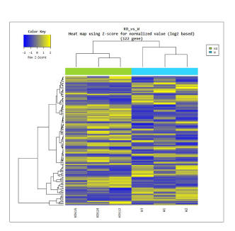 Heatmap