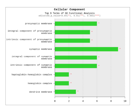 GO analysis-Cellular compartment