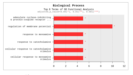 GO analysis-Biological process