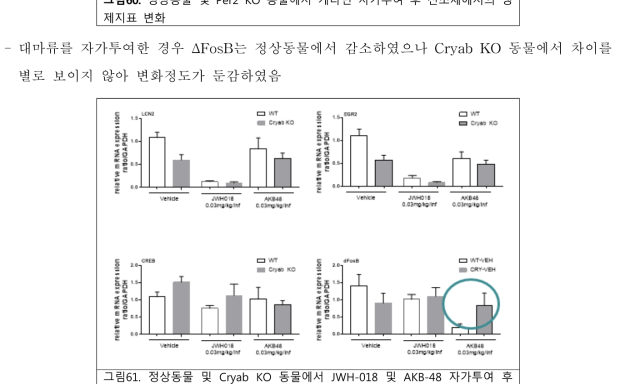 정상동물 및 Cryab KO 동물에서 JWH-018 및 AKB-48 자가투여 후 선조체에서의 생제지표 변화