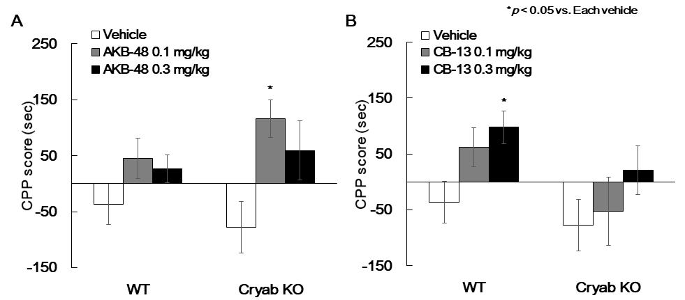 Effect of Cryab gene on AKB-48 or CB-13-induced CPP score. (A) The CPP tests were performed as methods section by using AKB-48 (0.1, 0.3 mg/kg, i.p.) in WT(+/+) or Cryab KO(-/-) mice. (B) The CPP tests were performed as methods section by using CB-13 (0.1, 0.3 mg/kg, i.p.) in WT(+/+) or Cryab KO(-/-) mice. Data are expressed as the mean ± S.E. (n = 4-17 for each group, Two-way ANOVA followed by Holm-Sidak post-hoc method, *p < 0.05 vs. each vehicle group). Cryab: alpha-crystallin B; CPP: conditioned place preference; KO: knockout; WT: wild-type