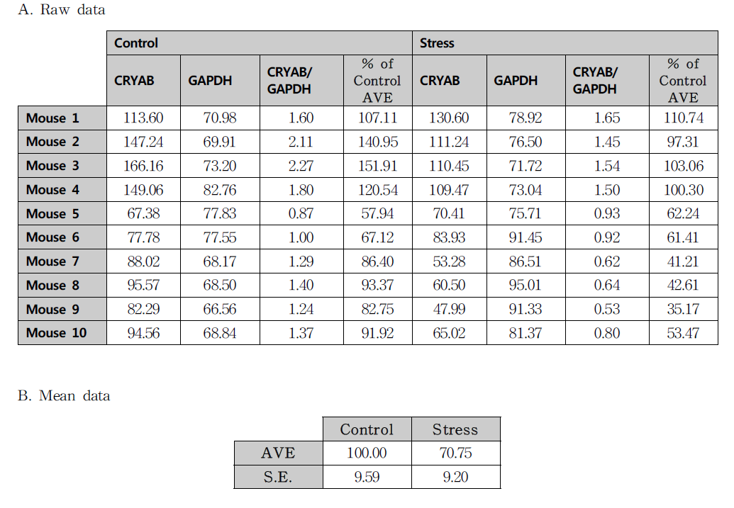 선조체에서 구속스트레스에 의한 CRYAB 단백질 발현량 변화