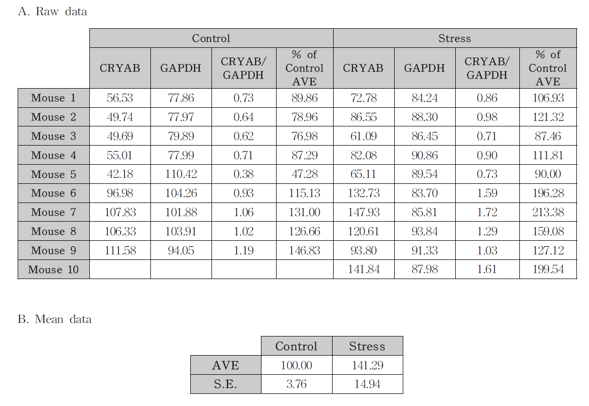 측좌핵에서 구속스트레스에 의한 CRYAB 단백질 발현량 변화