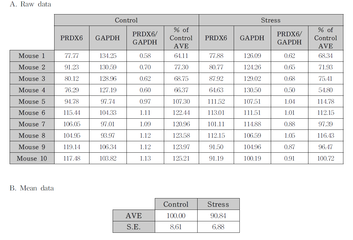 선조체에서 구속스트레스에 의한 PRDX6 단백질 발현량 변화