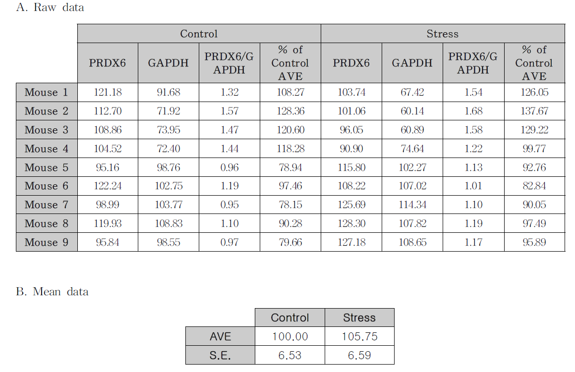 측좌핵에서 구속스트레스에 의한 PRDX6 단백질 발현량 변화