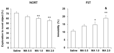 야생형 생쥐 (C57BL/6 생쥐)에서 메트암페타민 투여 후 나타나는 인지기억능 저하 및 우울증상 평가. NORT = novel object recognition test. FST = forced swimming test. MA 0.5, 1.0 or 2.0 = 메트암페타민 0.5, 1.0 or 2.0 mg/kg, i.p. 각 수치는 10~17 마리의 평균 ± 표준오차임. *P<0.05, **P<0.01 vs. Saline; &P<0.05 vs. MA 0.5 (One-way ANOVA followed by PLSD test)