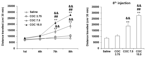 야생형 생쥐 (C57BL/6 생쥐)에서 코카인 투여 후 자발운동량의 변화. COC 3.75, 7.5 or 15.0 = 코카인 3.75, 7.5 or 15.0 mg/kg, i.p. 각 수치는 8~15 마리의 평균 ± 표준오차임. **P<0.01 vs. Saline;  ##P<0.01 vs. COC 7.5 (Two-way or one-way ANOVA followed by PLSD test)
