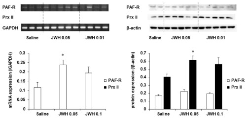 JWH-018 투여 후 행동민감화와 조건장소선호도를 평가한 야생형 생쥐 (C57BL/6 생쥐)의 선조체에서 PAF-R 및 Prx II의 mRNA와 단백질 발현의 변화. JWH 0.05 or 0.1 = JWH-018 0.05 or 0.1 mg/kg, i.p. 각 수치는 5-7 마리의 평균 ± 표준오차임. *P<0.05 vs. Saline (One-way ANOVA followed by PLSD test)
