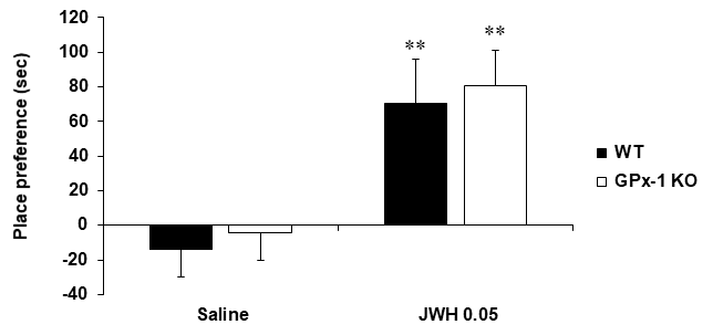 야생형 생쥐와 GPx-1 유전자 결핍 생쥐에서 케타민 투여 후 조건장소선호도의 변화. KO = 유전자 결핍. JWH 0.05 = JWH-018 0.05 mg/kg, i.p. 각 수치는 7~8 마리의 평균 ± 표준오차임. **P<0.01 vs. corresponding Saline (Two-way ANOVA followed by PLSD test)