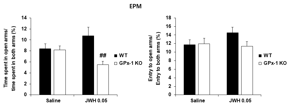 야생형 생쥐와 GPx-1 유전자 결핍 생쥐에서 JWH-018 투여 후 불안증상의 변화. KO = 유전자 결핍. EPM = elevated plus maze. JWH 0.05 = JWH-018 0.05 mg/kg, i.p. 각 수치는 7~8 마리의 평균 ± 표준오차임. ##P<0.01 vs. WT/JWH 0.05 (Two-way ANOVA followed by PLSD test)
