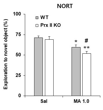 Prx II 유전자 결핍 생쥐에서 메트 암페타민에 의한 인지기억능 저하의 변화. KO = 유전자 결핍. MA 1.0 = 메트암페타민 1.0 mg/kg, i.p. 각 수치는 7-19 마리의 평균 ± 표준오차임. *P<0.05, **P<0.01vs. Corresponding Saline; #P<0.05 vs. WT/MA 1.0 (Two-way ANOVA followed by PLSD test)