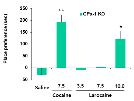 GPx-1 유전자 결핍 생쥐에서 larocaine에 의한 조건장소선호도의 변화. KO = 유전자 결핍. 각 수치는 6 마리의 평균 ± 표준오차임. *P<0.05, **P<0.01 vs. Saline (One-way ANOVA followed by PLSD test)