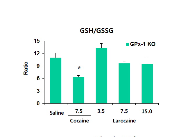 GPx-1 유전자 결핍 생쥐의 선조체에서 larocaine에 의한 GSH/GSSG의 변화. KO = 유전자 결핍. 각 수치는 6 마리의 평균 ± 표준오차임. *P<0.05 vs. Saline (One-way ANOVA followed by PLSD test)